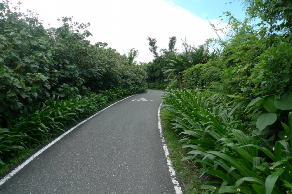 兩潭自行車道 攝影：Eva隨手拍