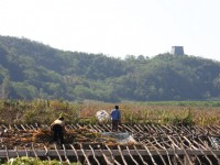 虎山長城<br/> 攝影：馮順