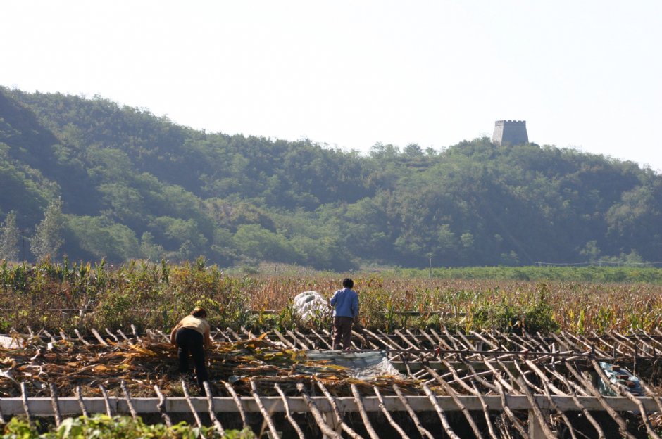 虎山長城 攝影：馮順