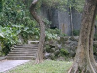 園內階梯小徑一景<br/> 攝影：曾婉玲