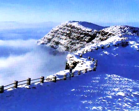 雲海 攝影：四川旅遊信息網