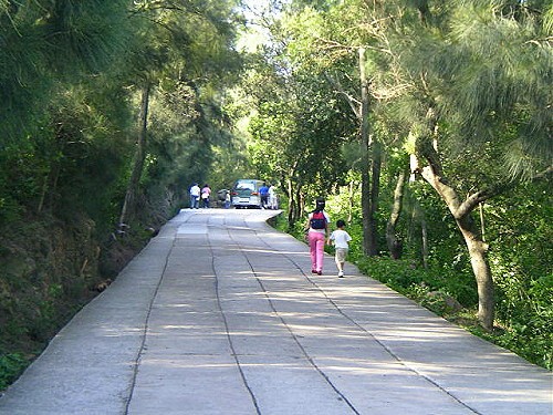 玉章路上的林蔭 攝影：外婆的澎湖灣-離島行腳