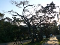 容軒步道<br/> 攝影：Eva隨手拍