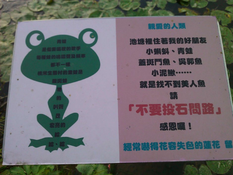 水池旁告示牌 攝影：陳皮梅