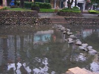 清澈見底<br/> 攝影：林夢真