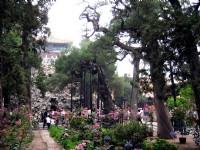 御花園景色<br/> 攝影：方盛文