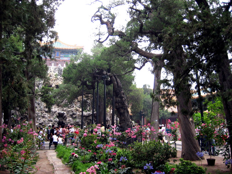 御花園景色 攝影：方盛文