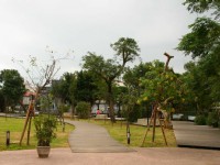 金山溫泉公園風景<br/> 攝影：老山羊部落格