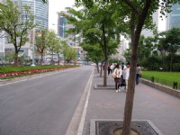 廣場旁街景<br/> 攝影：簡時強