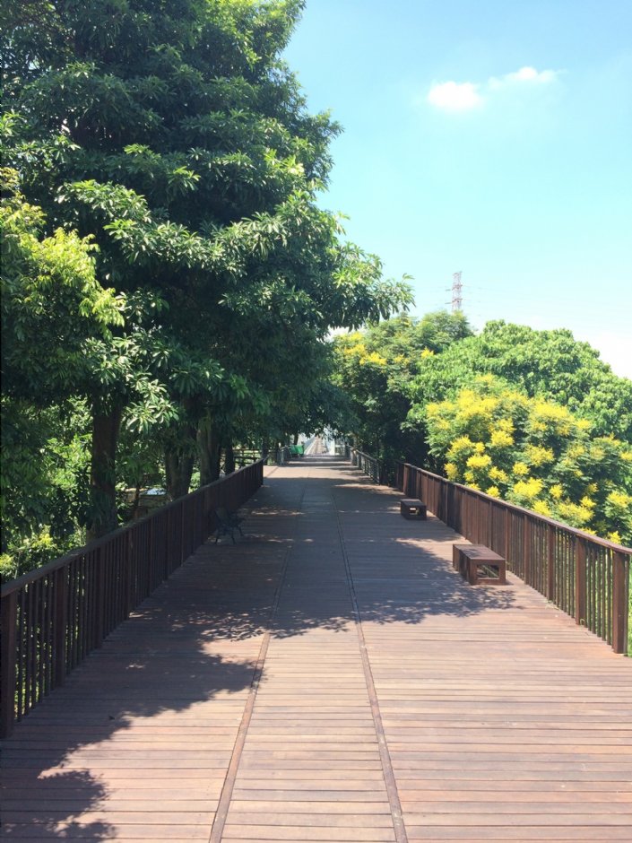 下淡水溪橋生態園區 攝影：Eva隨手拍
