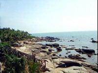 綠林和沿岸美景<br/> 攝影：宋文豪