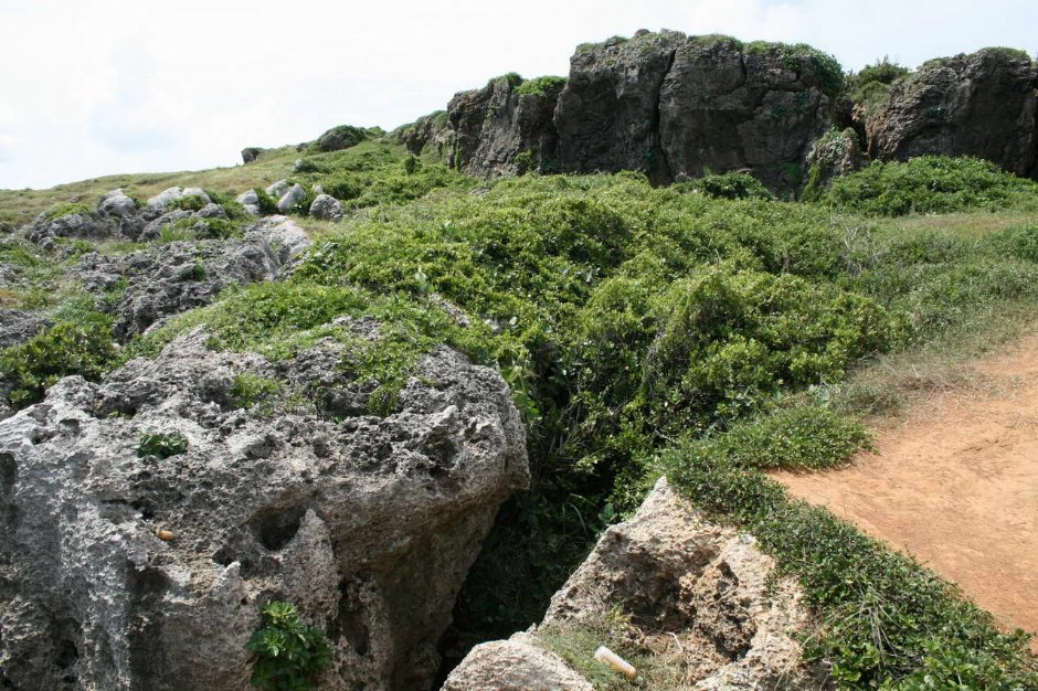 龍磐公園的壯麗景觀 攝影：老山羊部落格