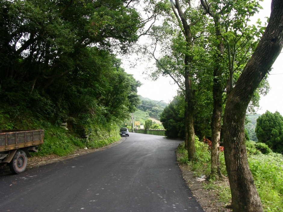 通往茶園的道路 攝影：林夢真
