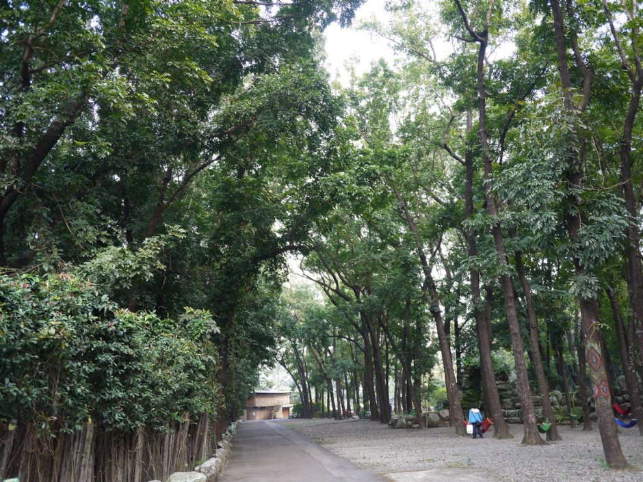8大森林樂園 攝影：三個井