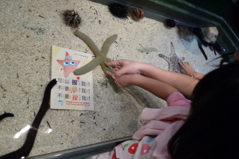 台灣水域館-觸摸池 攝影：三井