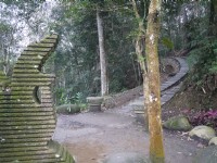 青龍山步道<br/> 攝影：旅遊王攝影組