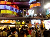 逢甲夜市旗艦專區<br/> 攝影：xcatx