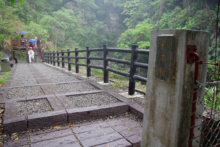 森林步道 攝影：Eva隨手拍