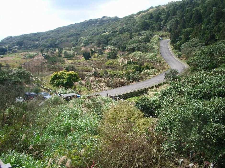 遠眺山景 攝影：老山羊部落格