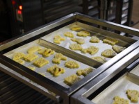 餅乾DIY<br/> 攝影：台灣優格餅乾學院 提供