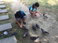 2016中央公園<br/> 攝影：旅遊王攝影組