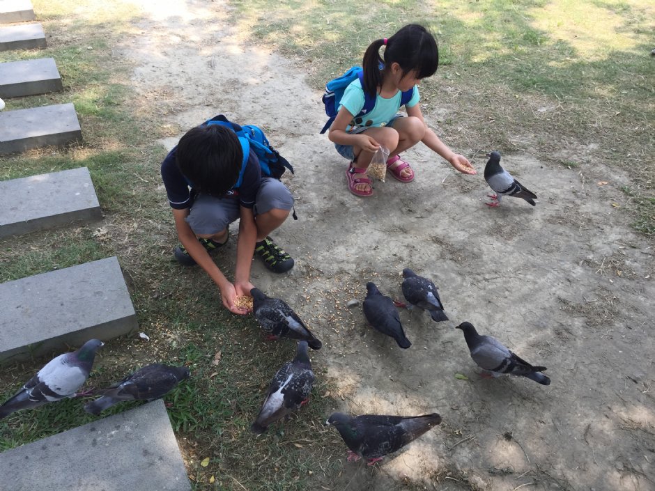 2016中央公園 攝影：旅遊王攝影組