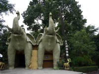 8大森林樂園<br/> 攝影：三個井