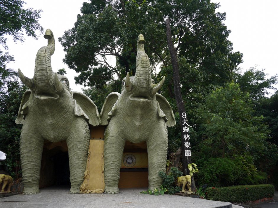 8大森林樂園 攝影：三個井