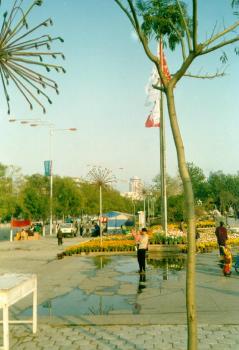 公園景一 攝影：郭健三