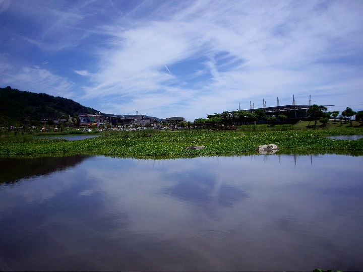 Photo:Eva隨手拍