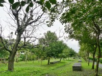 初英親水生態公園<br/> 攝影：Eva隨手拍