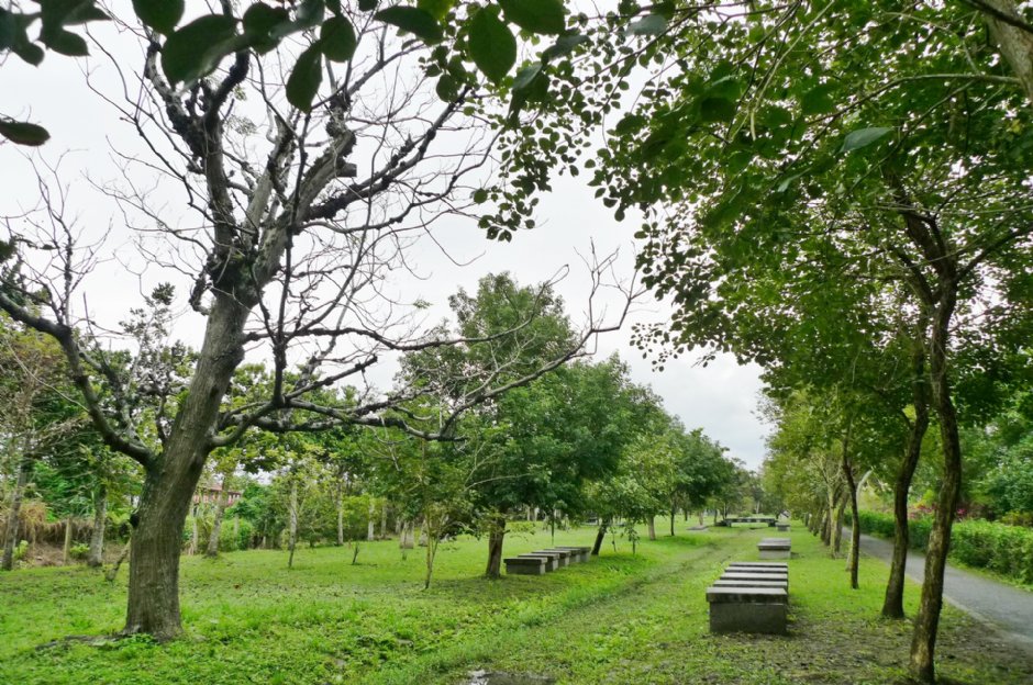 初英親水生態公園 攝影：Eva隨手拍