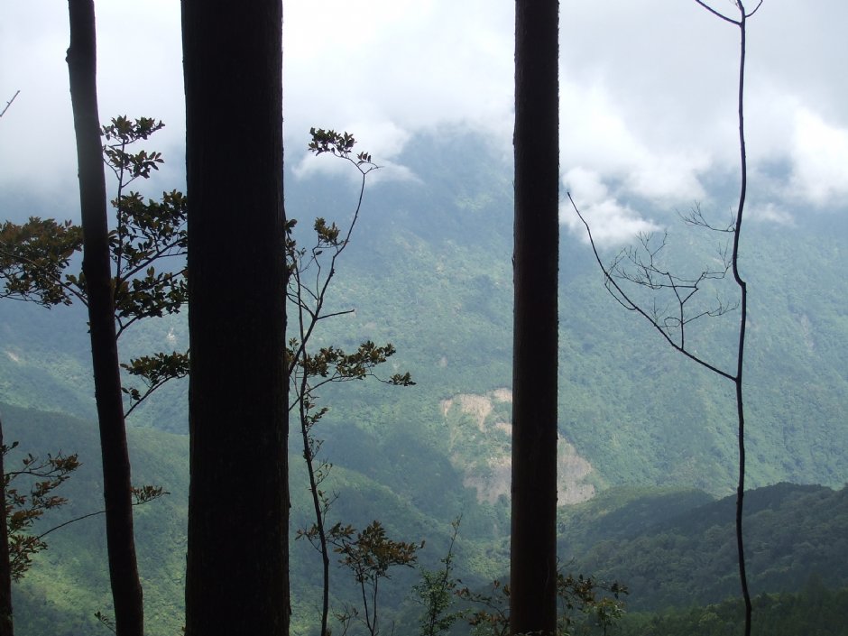 野馬瞰山步道 攝影：Lu