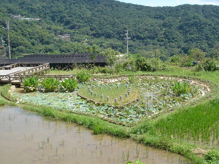 后湖湿地-同心池 摄影：陳美吟