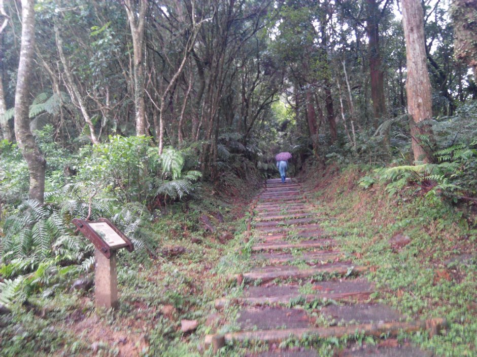 跑馬古道 攝影：Lu
