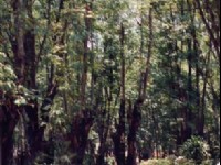 春歡公園<br/> 攝影：台灣中國旅行社