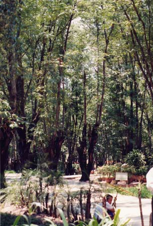 春歡公園 攝影：台灣中國旅行社
