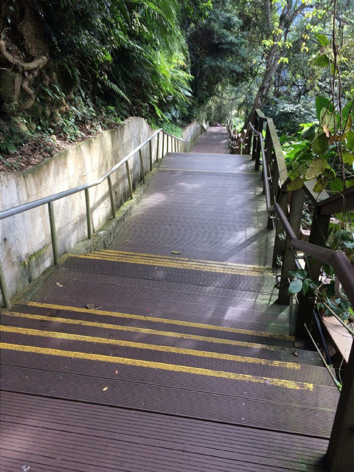 新溪口吊橋上步道 攝影：Eva隨手拍