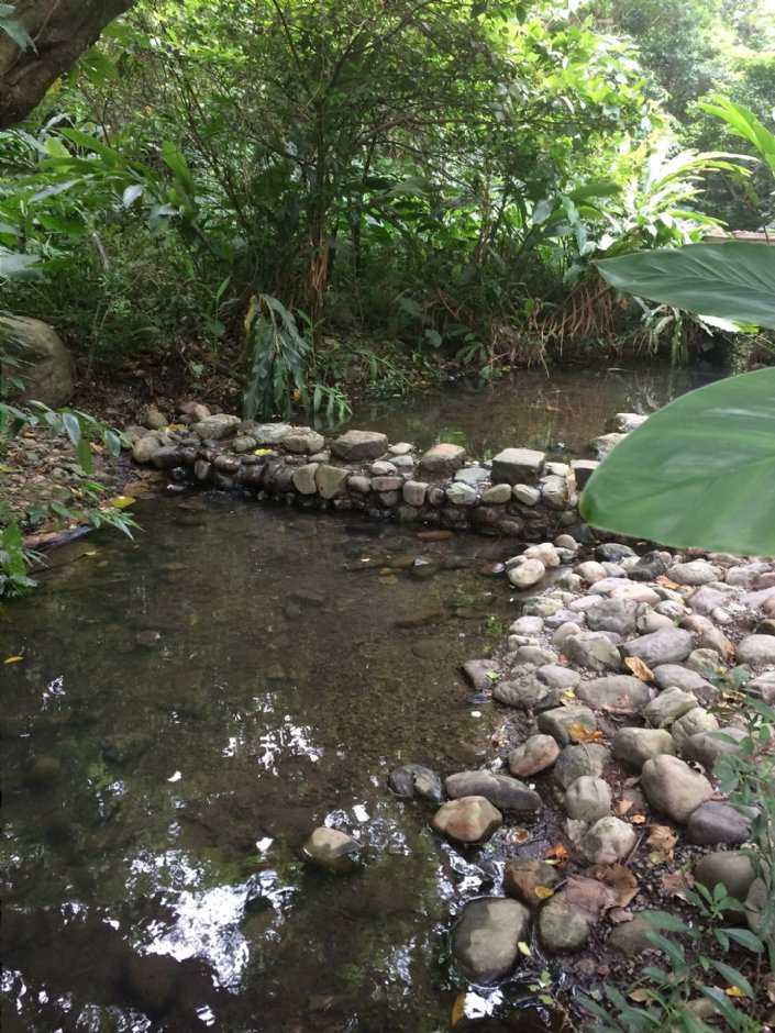 富陽自然生態公園 攝影：Eva隨手拍