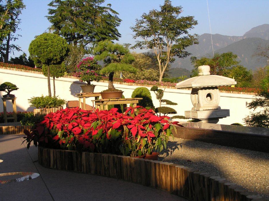 中台禪寺一景 攝影：李佩璇