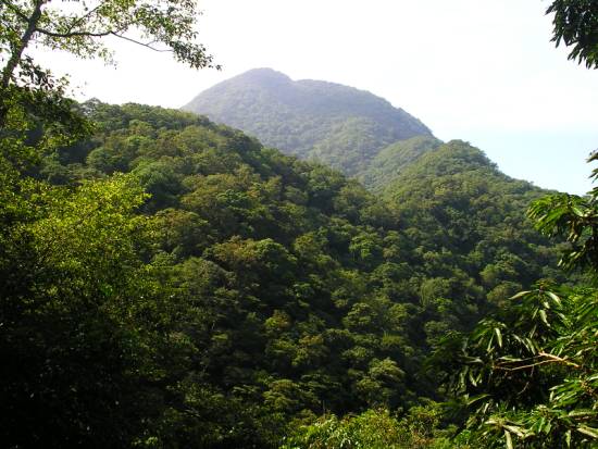 砲台山 攝影：老山羊資訊網