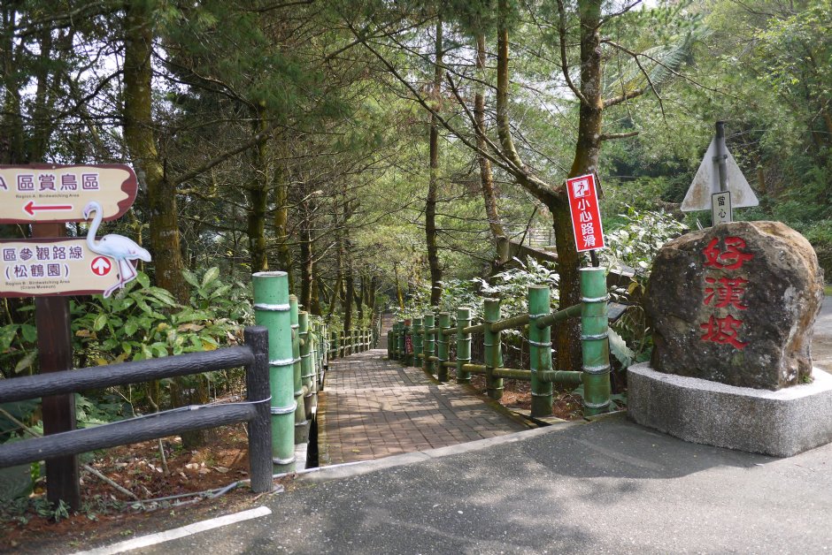 鳳凰谷鳥園好漢坡 攝影：三井