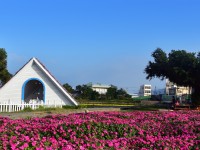 花海<br/> 攝影：中社觀光花市