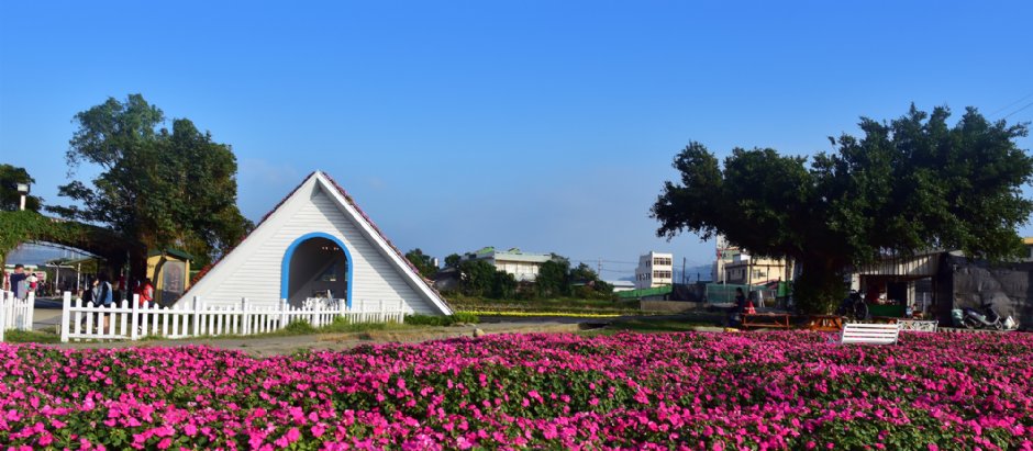 花海 攝影：中社觀光花市