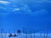 橫琴蠔生態園養殖場<br/> 攝影：大榮旅行社