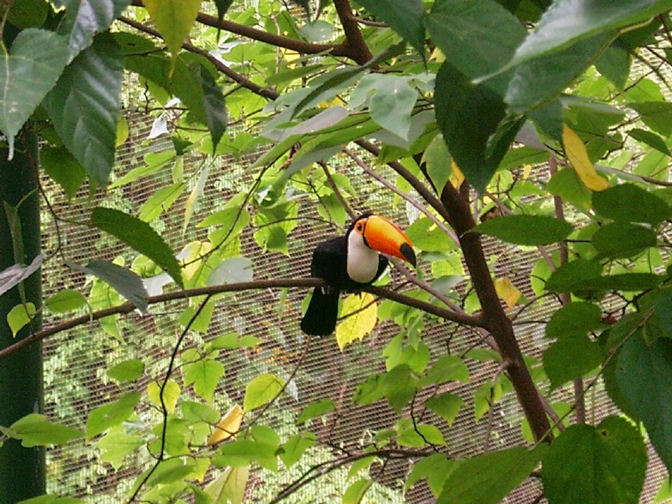 鳥類生態公園 攝影：Eva隨手拍