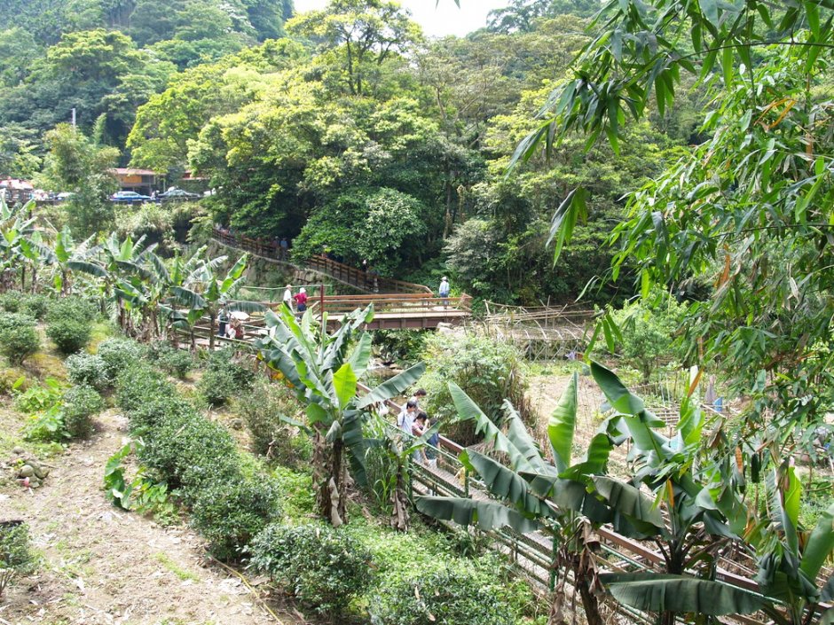 南天母登山入口處 攝影：amo