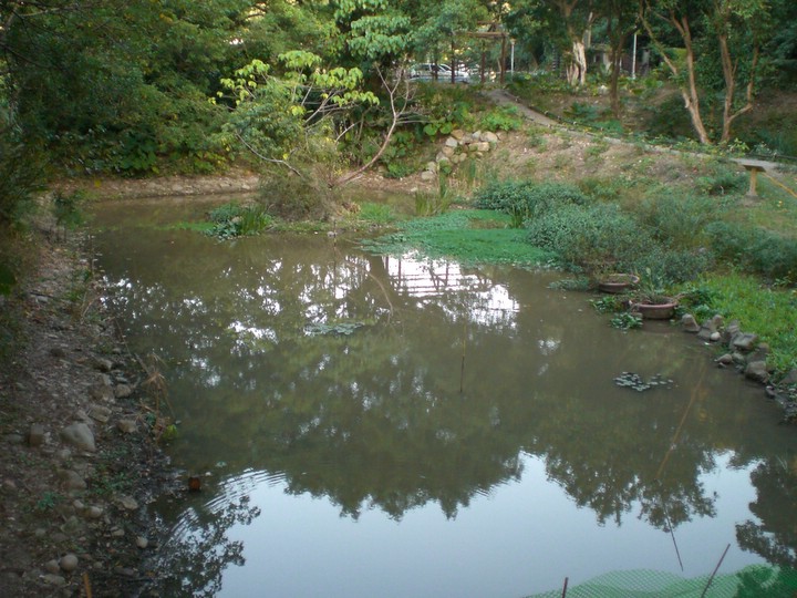 芝山文化生態綠園 攝影：amo