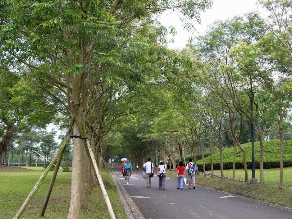 寬敞步道 攝影：老山羊部落格