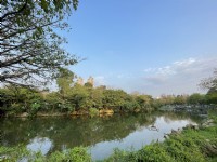大安森林公園<br/> 攝影：Eva隨手拍